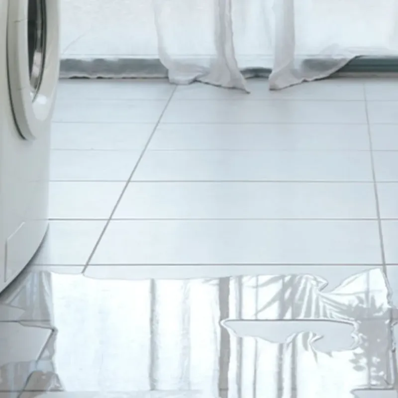 Appliance Leak Cleanup in Spring Hill, KS