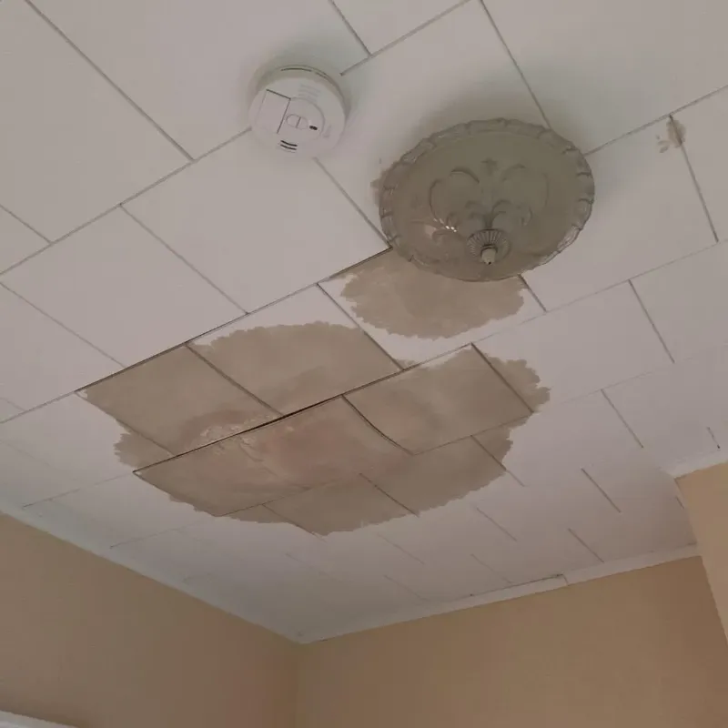 Ceiling Water Damage Repair in Spring Hill, KS