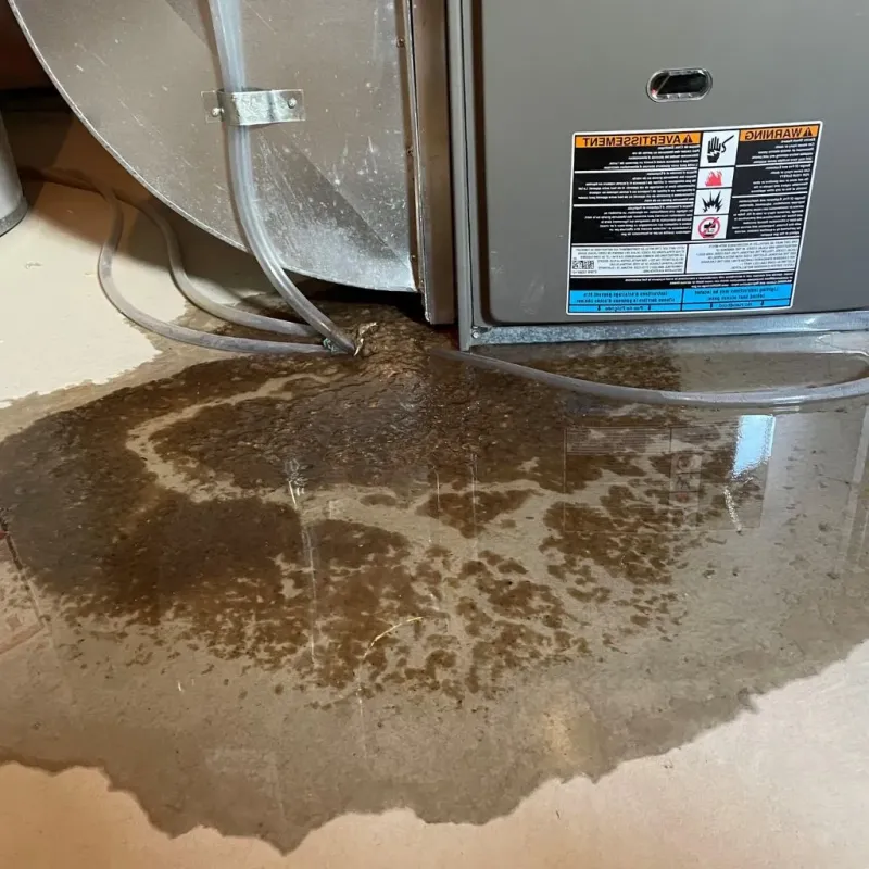 Pipe Burst and Leak Restoration in Spring Hill, KS