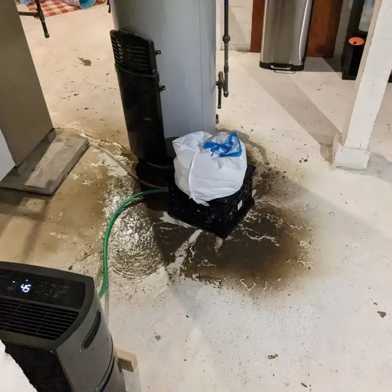 Sewage Backup Cleanup Service in Spring Hill, KS
